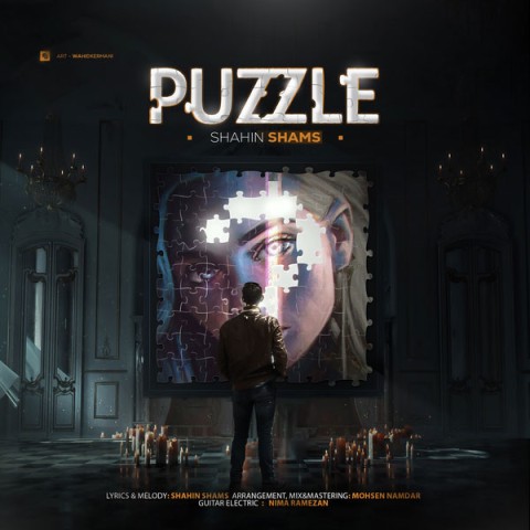 shahin shams puzzle