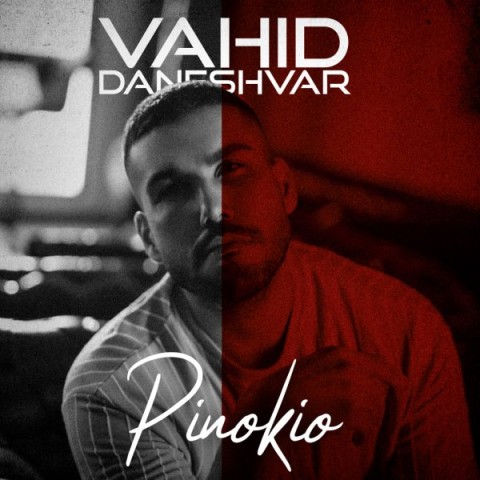 vahid daneshvar pinokio 2023 07 08 19 50 39