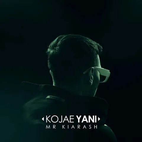 Mr Kiarash Kojaei Yani